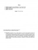 Informacion farmacologia Vinca