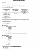 LAPBOOK: POLÍGONOS Y POLIEDROS