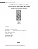 Efectos de luz en semillas