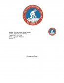 La importancia de la lógica en la filosofía