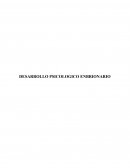 DESARROLLO PSICOLOGICO ENBRIONARIO