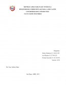 Desarrollo de un ron de fresa