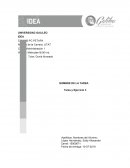 Tarea y Ejercicio 1 Admon IDEA 2019