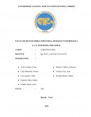 Formulación y elaboración de Nuggets de a base de caballa para la desnutrición infantil en la provincia de huacho 2019