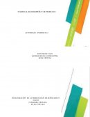 ESTUDIO DE CASO: “LA TOMA DE DECISIONES A PARTIR DEL RECONOCIMIENTO DEL OTRO COM SER BIOSICOSOCIAL”
