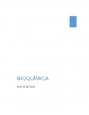 BIOQUIMICA. AGUA ESTRUCTURA MOLECULAR