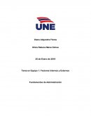 Fundamentos de Administración Factores Internos y Externos