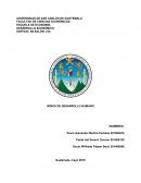 INDICE DE DESARROLLO HUMANO