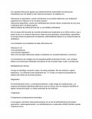 Infecciones de la vía aérea superior