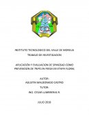 APLICACIÓN Y EVALUACION DE SPINOSAD COMO PREVENCION DE TRIPS EN FRESA EN ETAPA FLORAL