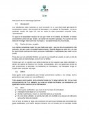 Descripción de la metodología aplicada