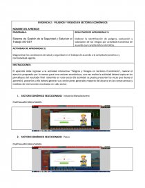 EVIDENCIA 2: PELIGROS Y RIESGOS EN SECTORES ECONÓMICOS. Página 1