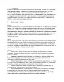 Estrategia Empresarial El Hotel Contemporáneo