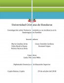 Investigación sobre Violencia Doméstica