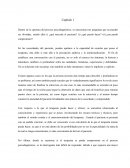 Resumen Proceso Psicodiagnóstico