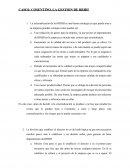 CASO PRACTICO CONSENTINO