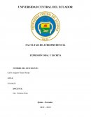 La adopción por parejas del mismo sexo