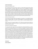 Análisis Microbiológicos Elaboración del medio de cultivo