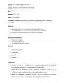 Ejemplo de Secuencia Didáctica (con capacidades) - Psicología Educativa