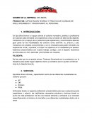 Plan de negocios. EMPRESA: SPA BIKES