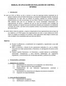 MANUAL DE APLICACIÓN DE EVALUACIÓN DE CONTROL INTERNO