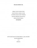 CASO DELICIUS CHICKEN LTDA.