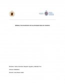 Utilidad y funcionamiento de los principales tipos de muestreo