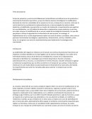 Ensayo Empresa CitiBanamex