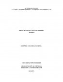 ANÁLISIS CASO ENRON DESDE LAS HABILIDADES GERENCIALES