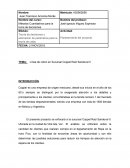 Línea de cobro en Sucursal Coppel Raúl Sandoval II