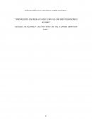 Investigacion desarrollo e innovacion en Peru