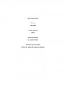 Práctica 10 - Gestión de Proyectos de Software