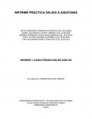 INGENIERIA AGRONOMICA Informe suelos