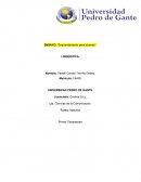 ENSAYO EMPRENDIMIENTO PARA JÓVENES