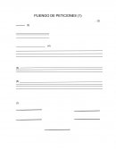 FORMATOS PLIEGO DE PETICIONES