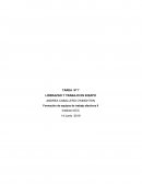 TAREA Nº 7 LIDERAZGO Y TRABAJO EN EQUIPO ACC