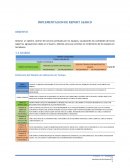 IMPLEMENTACION DE REPORT ASARCO