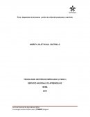 Aspectos de la marca y ciclo de vida de un producto o servicio