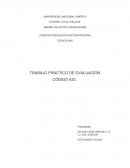 TRABAJO PRÁCTICO DE EVALUACION