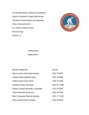 Trabajo sobre “Organización”