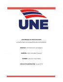 S4T4Cómo implementamos la estrategia