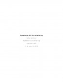 Herramientas del Mix de Marketing