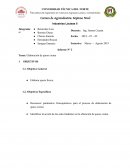 Industrias Lácteas II Informe queso crema