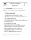 Cuestionario de Tractores Agrícolas