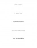 Caso: juguetería entre cuates