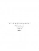 La industria chilena y los procesos industriales