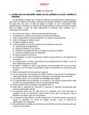 EQUIPO 3 CASO 11.1 L.E.S., Inc