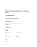 Habilitacion de instructores