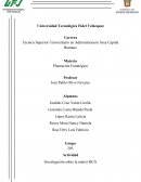 Actividad Investigación sobre la matriz BCG