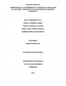 Competencia de la enfermera en el proceso de adecuacion del esfuerzo terapeutico en las unidades de cuidados intensivos